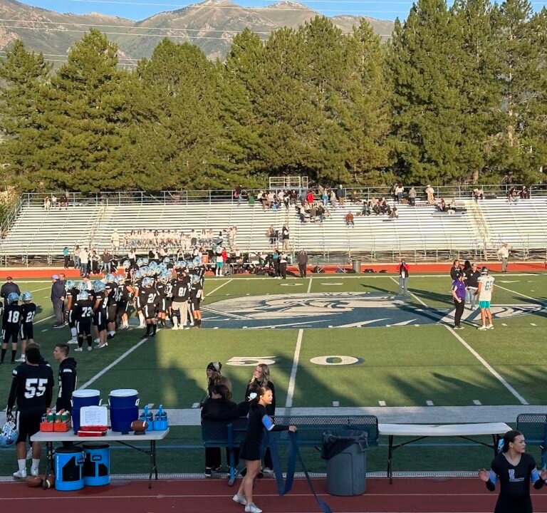 Soccer Field image 2