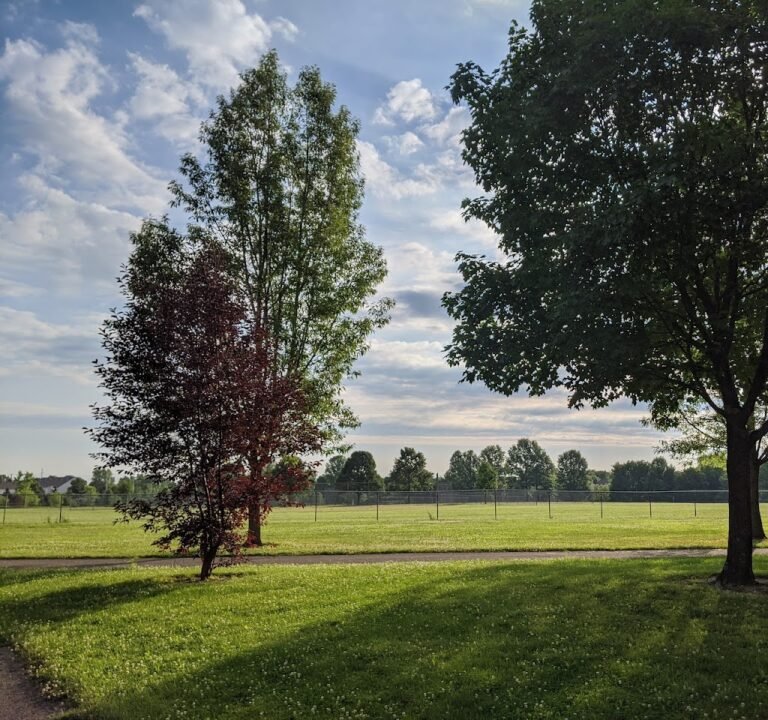 Soccer Field image 2