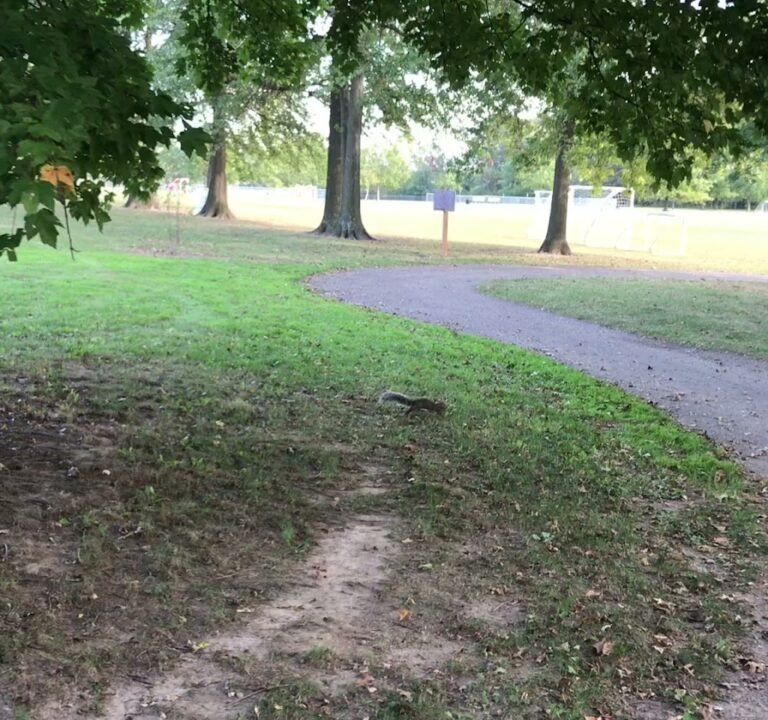 Soccer Field image 3