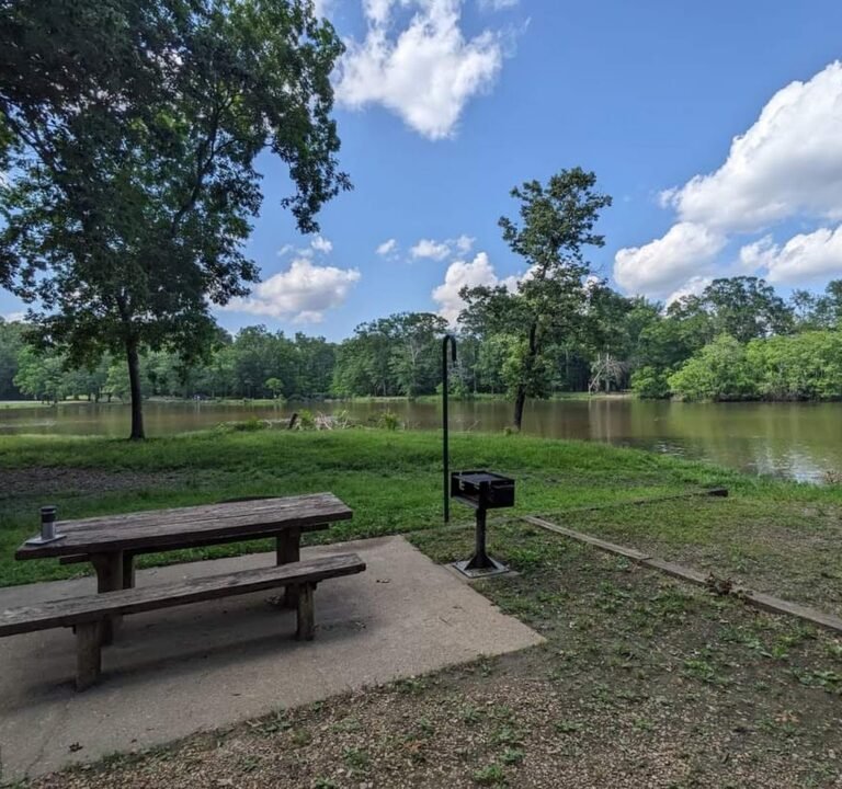 Soccer Field image 2