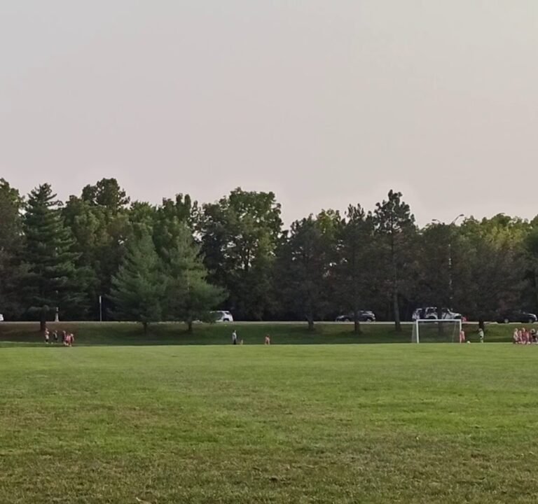 Soccer Field image 3