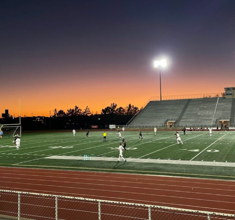 Soccer Field image 2