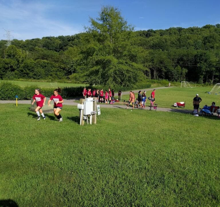 Soccer Field image 2