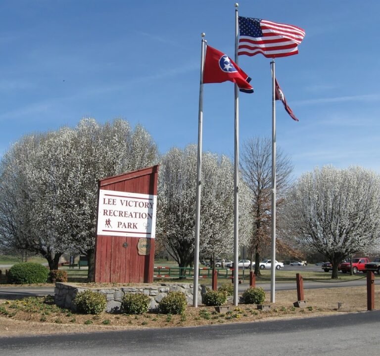Soccer Field image 2