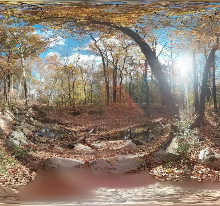 Soccer Field image 3