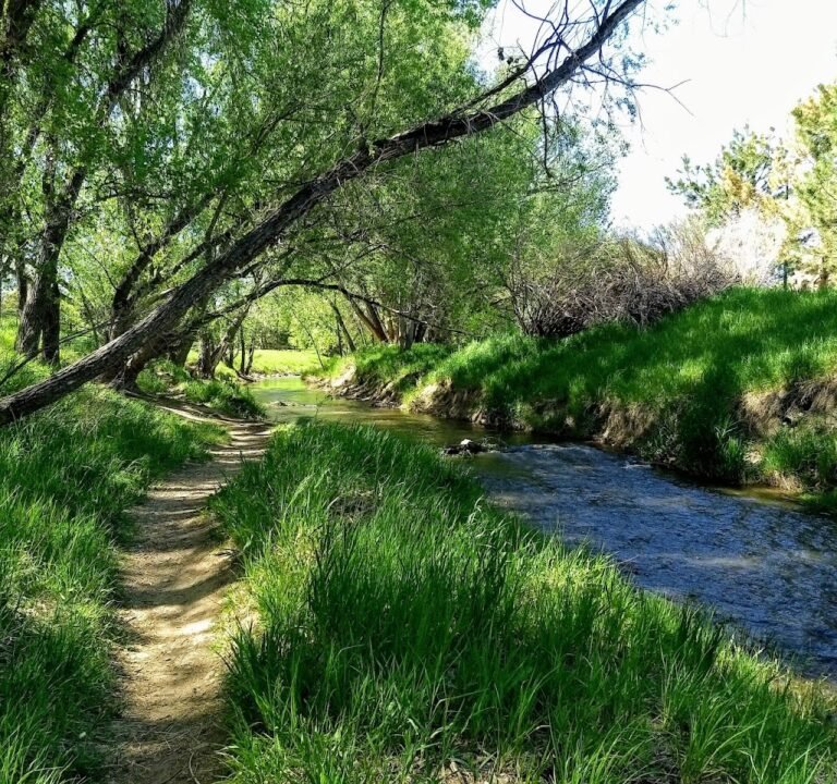 Soccer Field image 2