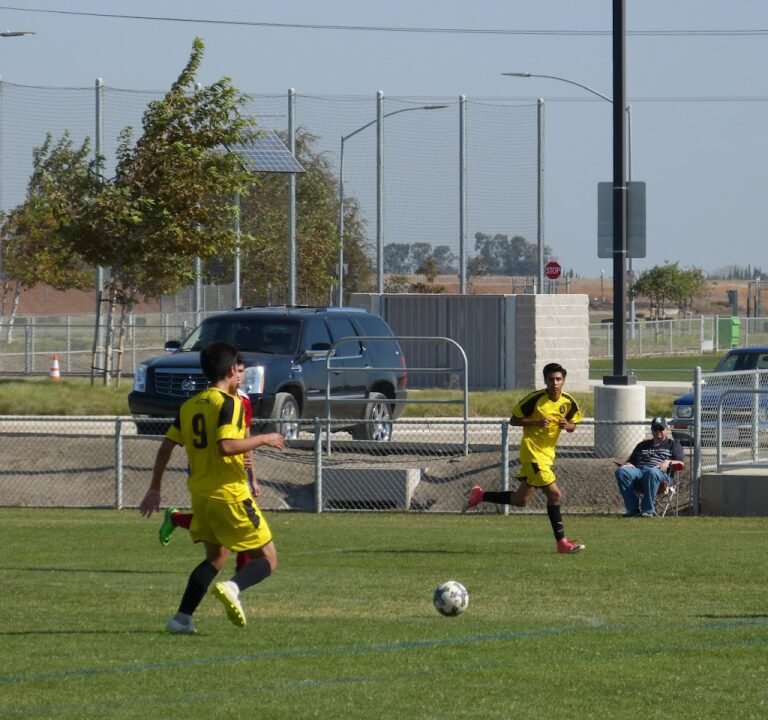 Soccer Field image 3