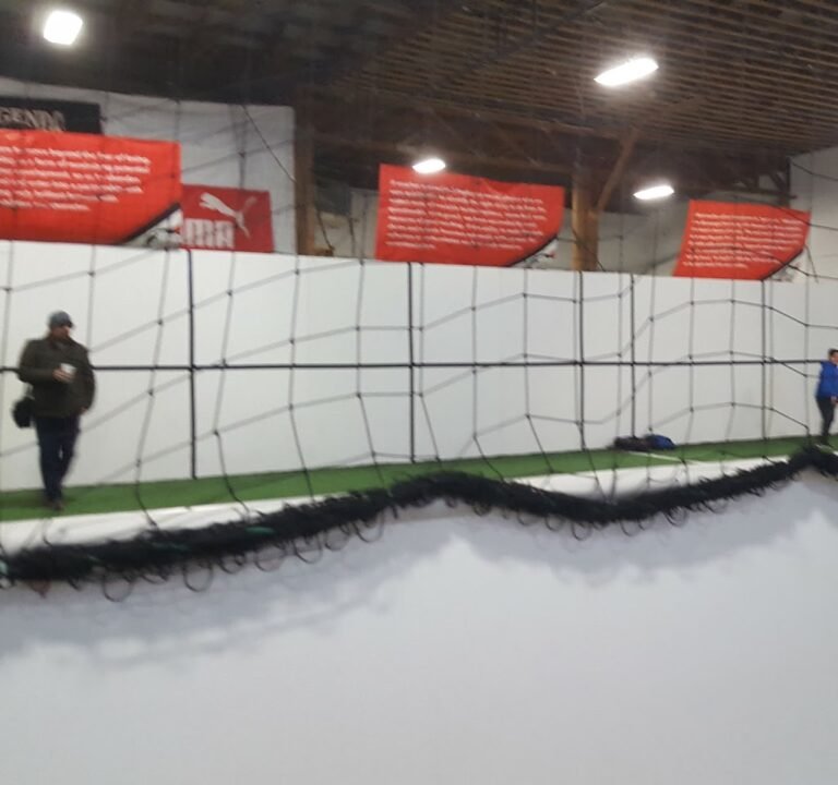 Soccer Field image 2