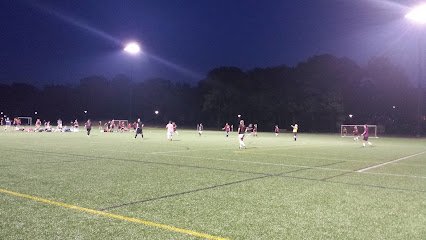 Soccer Field image 1