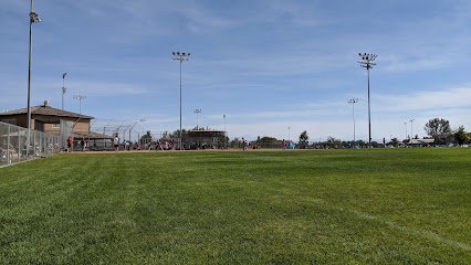 Soccer Field image 1