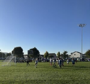 Soccer Field image 2