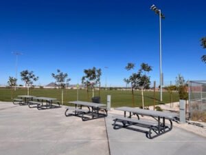 Soccer Field image 1