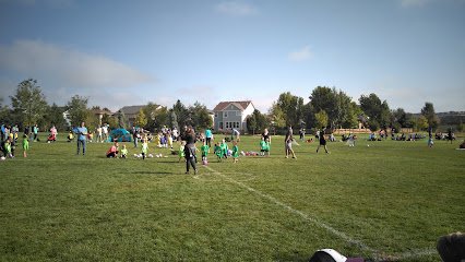 Soccer Field image 1