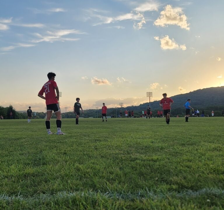 Soccer Field image 2