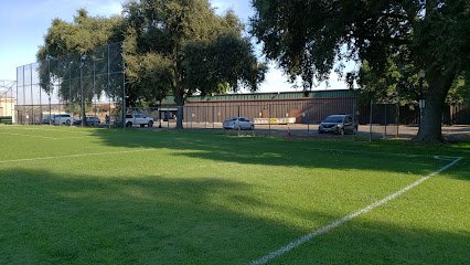 Soccer Field image 1