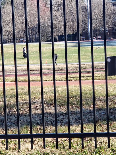 Soccer Field image 1