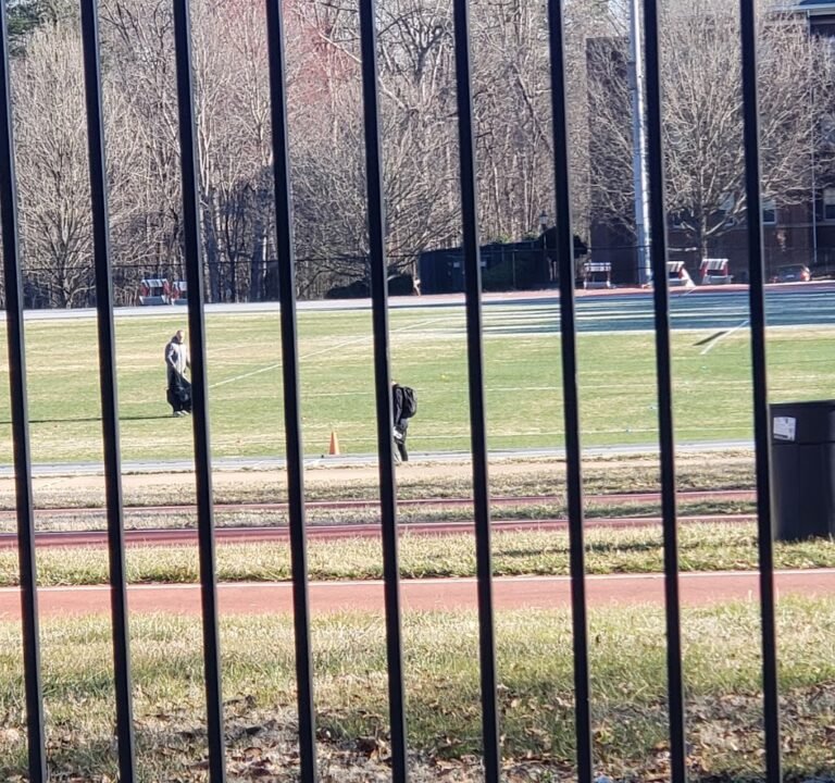 Soccer Field image 2