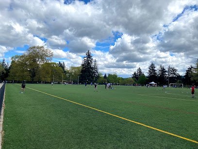 Soccer Field image 1