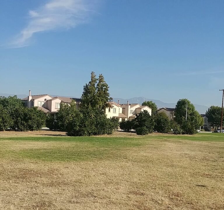 Soccer Field image 4