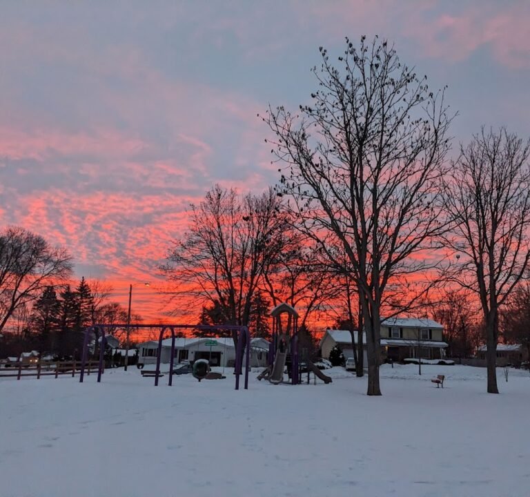 Soccer Field image 3