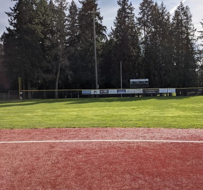 Soccer Field image 2