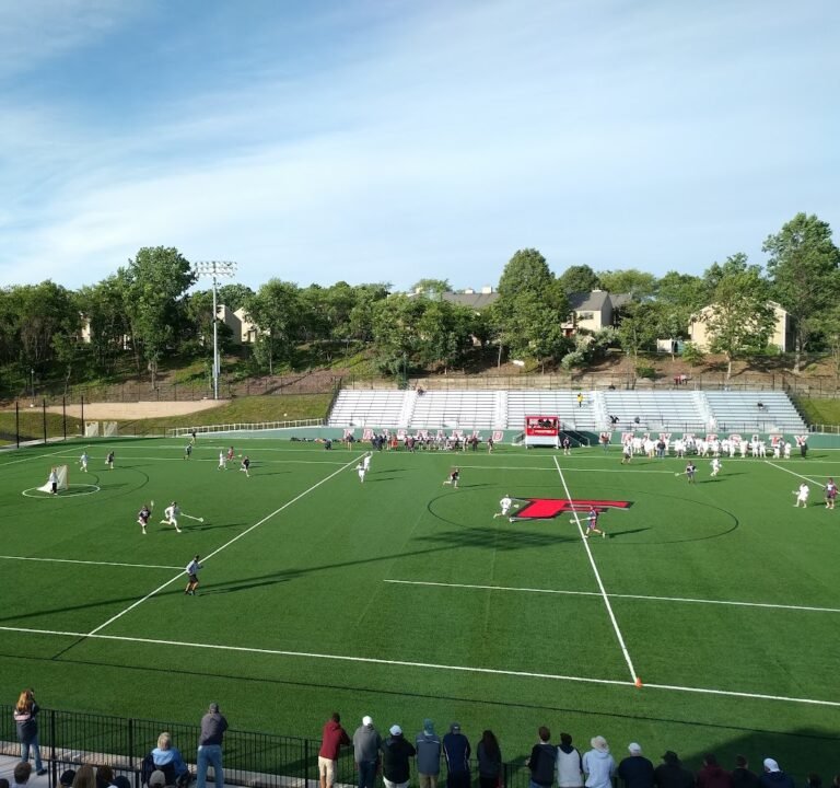Soccer Field image 2