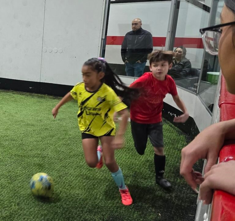 Soccer Field image 3