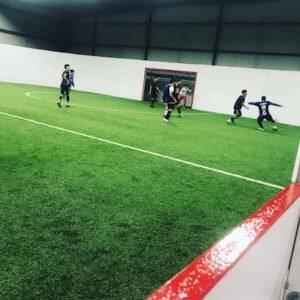 Soccer Field image 1