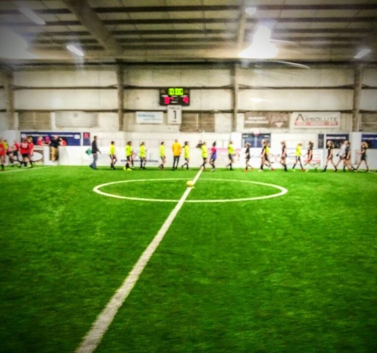 Soccer Field image 2