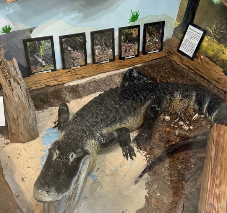 Soccer Field image 3