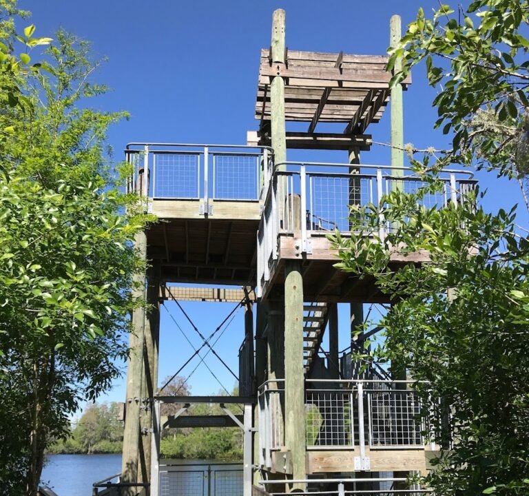 Soccer Field image 2