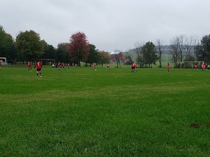 Soccer Field image 1