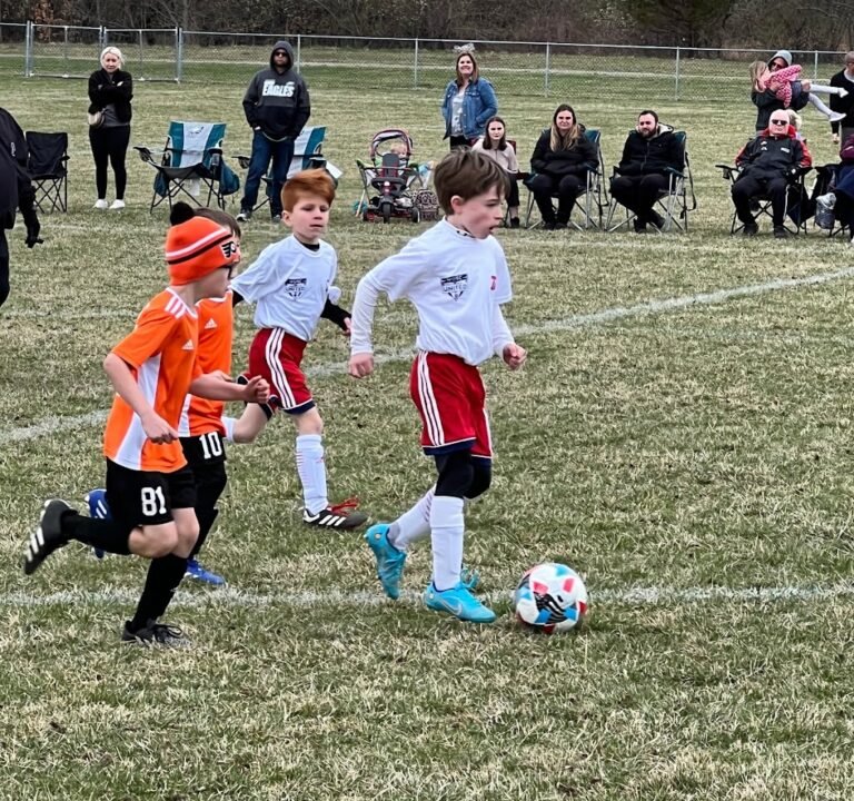 Soccer Field image 2