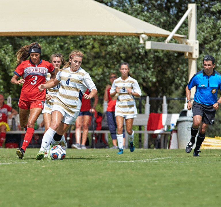 Soccer Field image 3