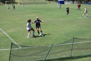 Soccer Field image 1