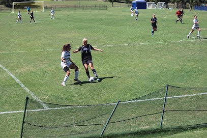 Soccer Field image 1