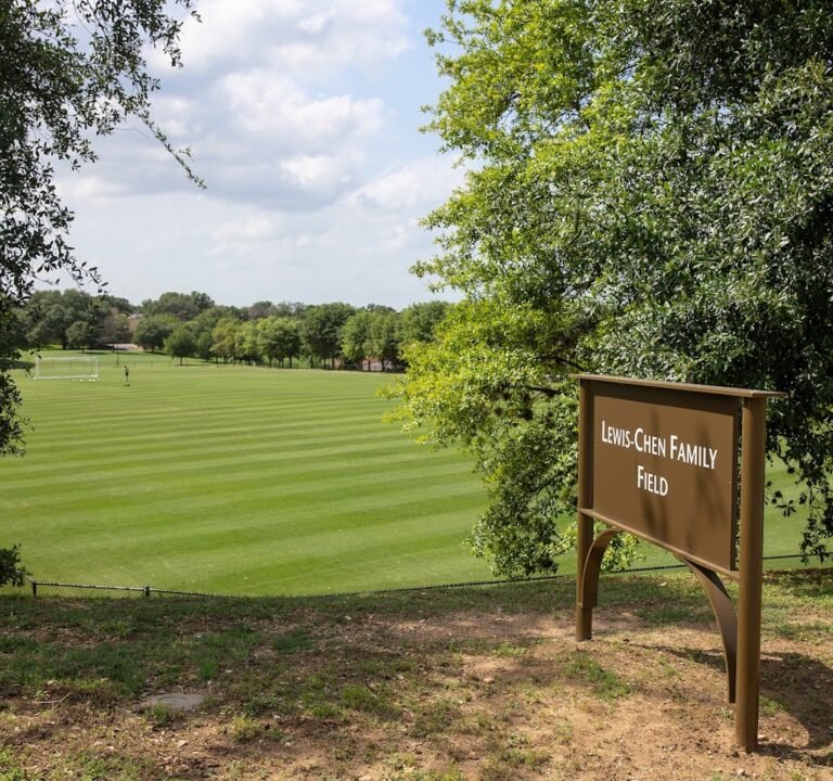 Soccer Field image 2