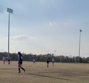 Soccer Field image 4