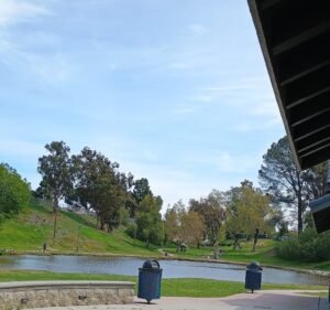 Soccer Field image 3