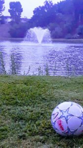 Soccer Field image 1