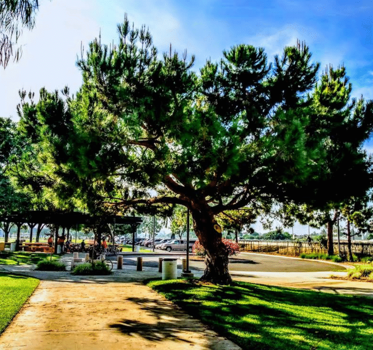 Soccer Field image 3