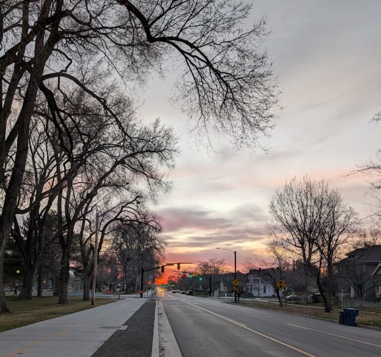 Soccer Field image 3
