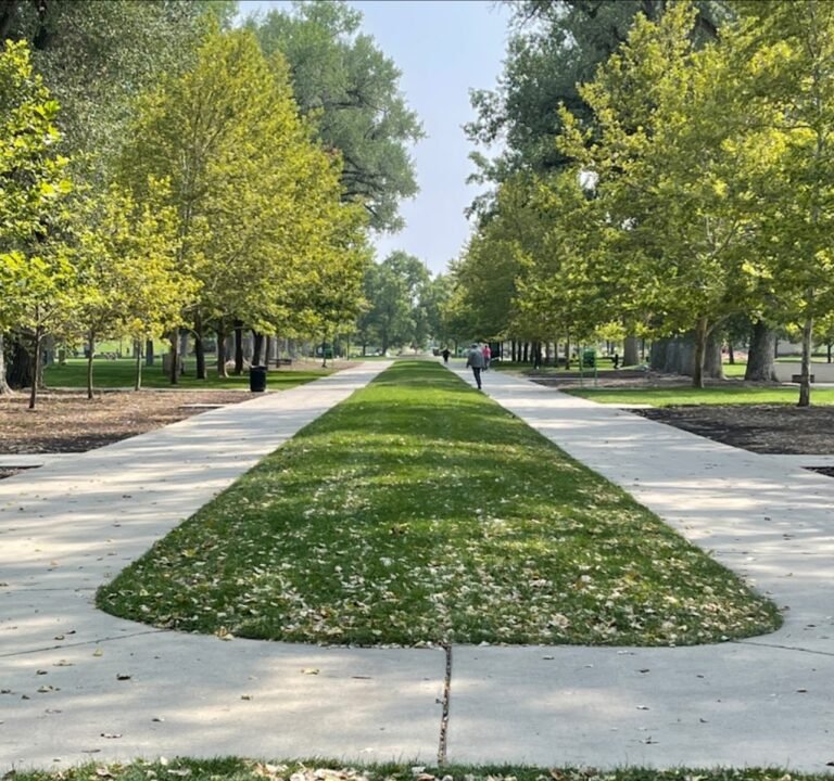 Soccer Field image 2