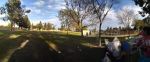 Soccer Field image 1