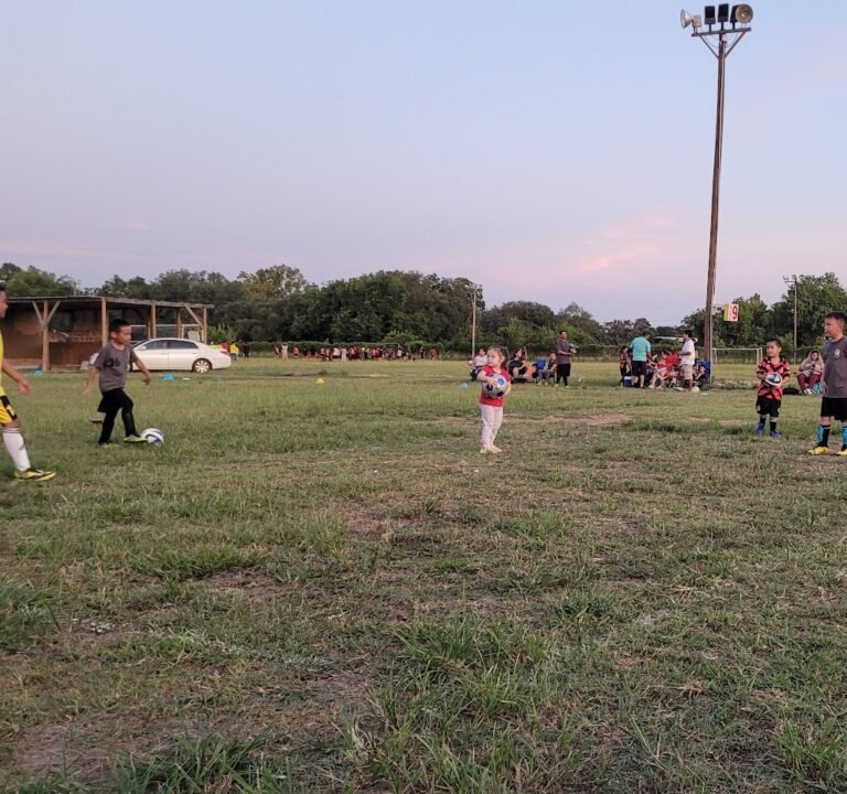 Soccer Field image 3