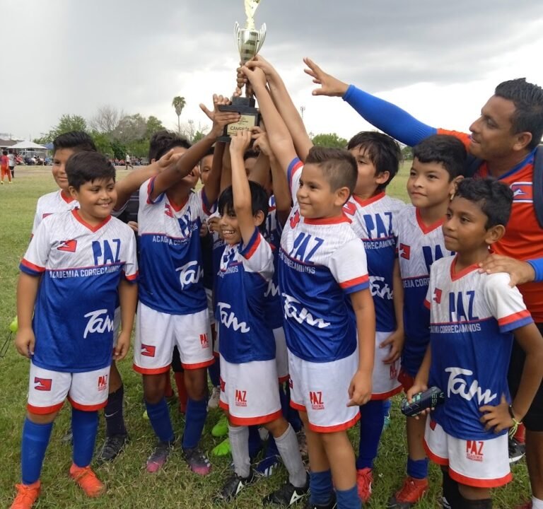 Soccer Field image 3