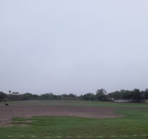 Soccer Field image 2