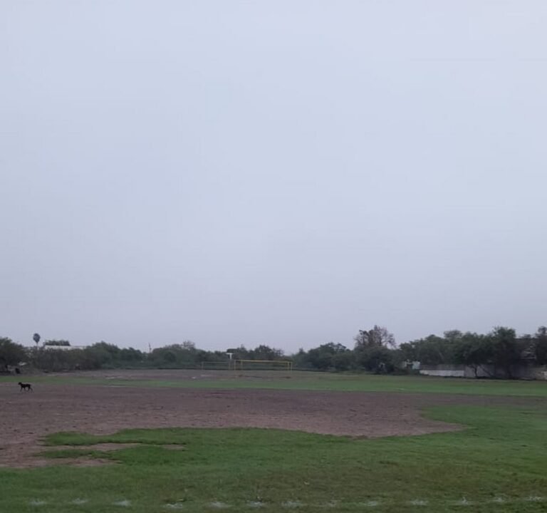 Soccer Field image 2