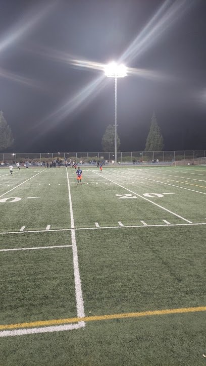 Soccer Field image 1