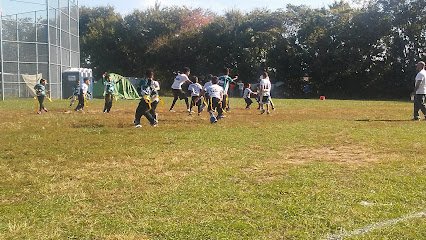 Soccer Field image 1